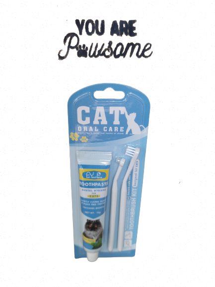 cat toothpaste kit